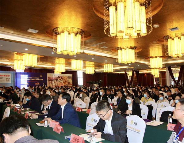 凯时KB88·(中国区)官方网站