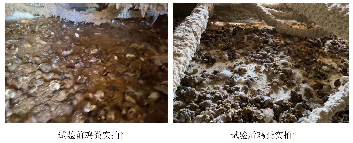 凯时KB88·(中国区)官方网站