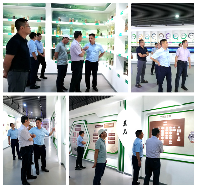 凯时KB88·(中国区)官方网站